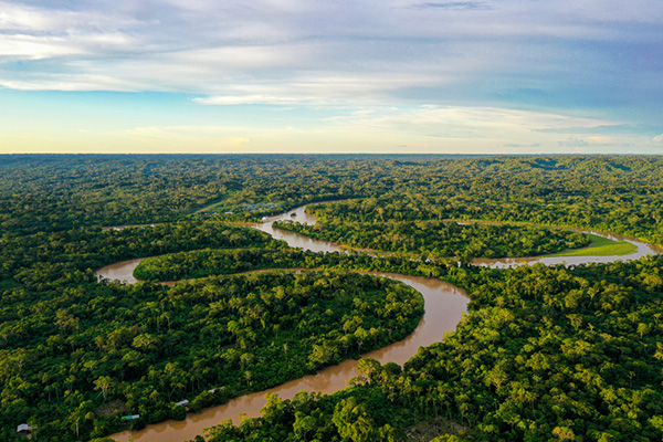 The Amazon Delta & Coast of Brazil – Feat. Stay & Tours