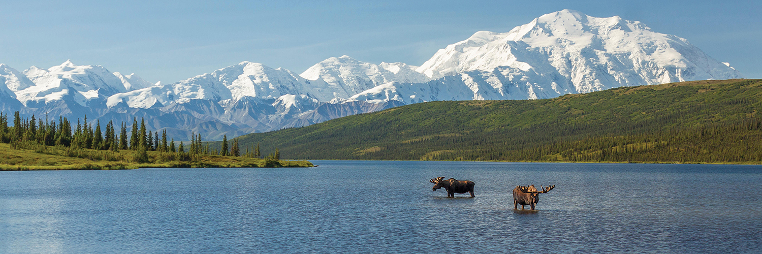 Holland America Alaska Panoramic